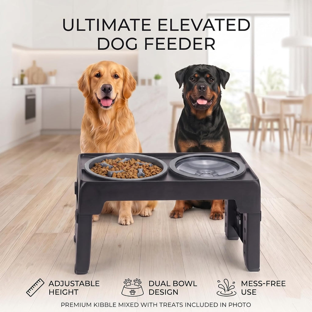 Collapsible Dog Bowls with Raised Adjustable Stand